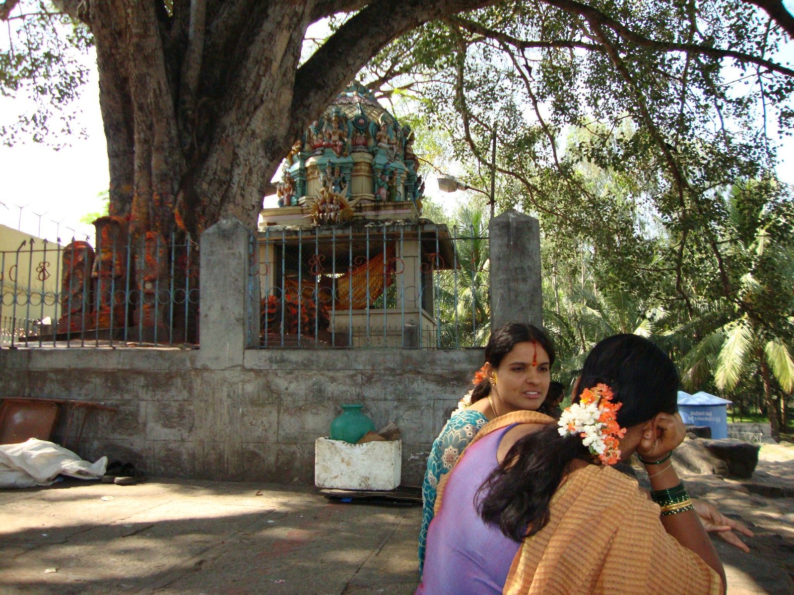 Deux femmes indiennes assises par terre, sous un arbre, photo gratuite