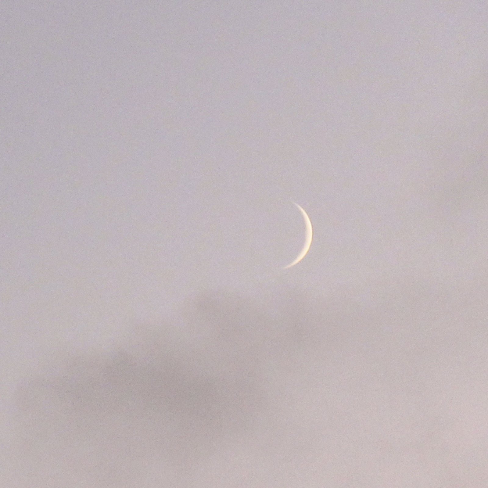 Premier quartier de lune