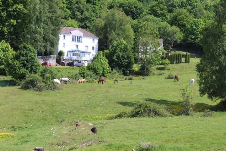 Des chevaux dans un champ avec une maison en arrière-plan photo gratuite