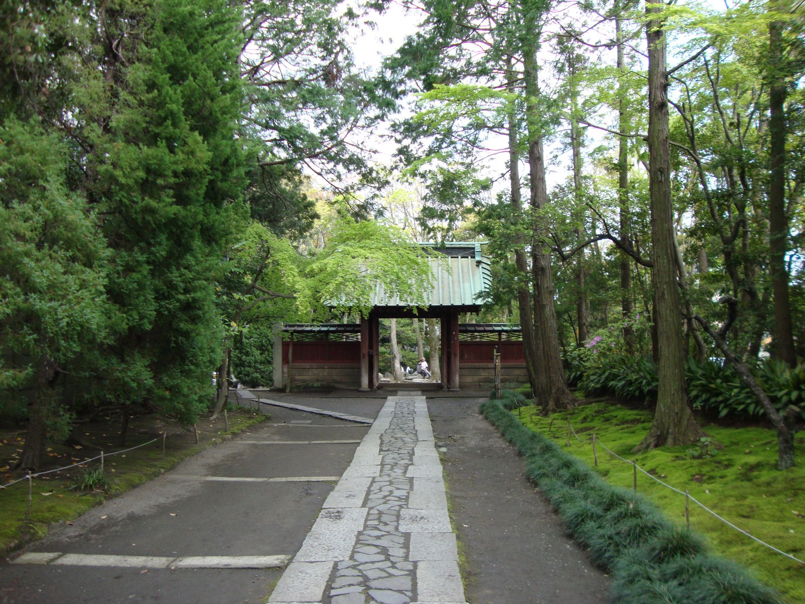 Chemin d'un temple au milieu d'une forêt à Kyoto au Japon photo gratuite
