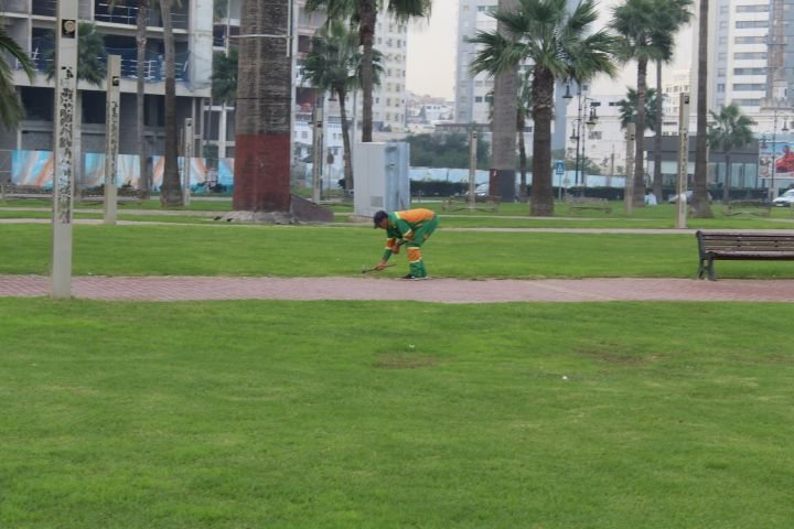 Un jardinier en plein nettoyage de la pelouse photo gratuite