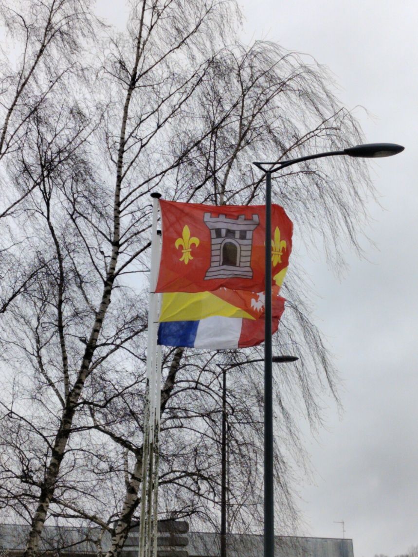 Assemblage des drapeaux de la ville d'Epinal, Lorraine, et francais sous les arbres photo gratuite