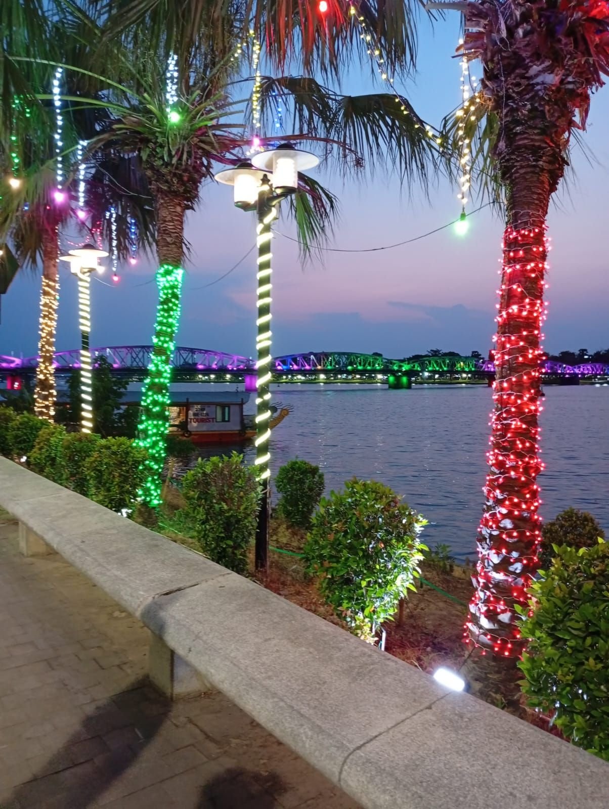 Palmiers décorés de guirlandes lumineuses colorées, Vietnam, photo gratuite