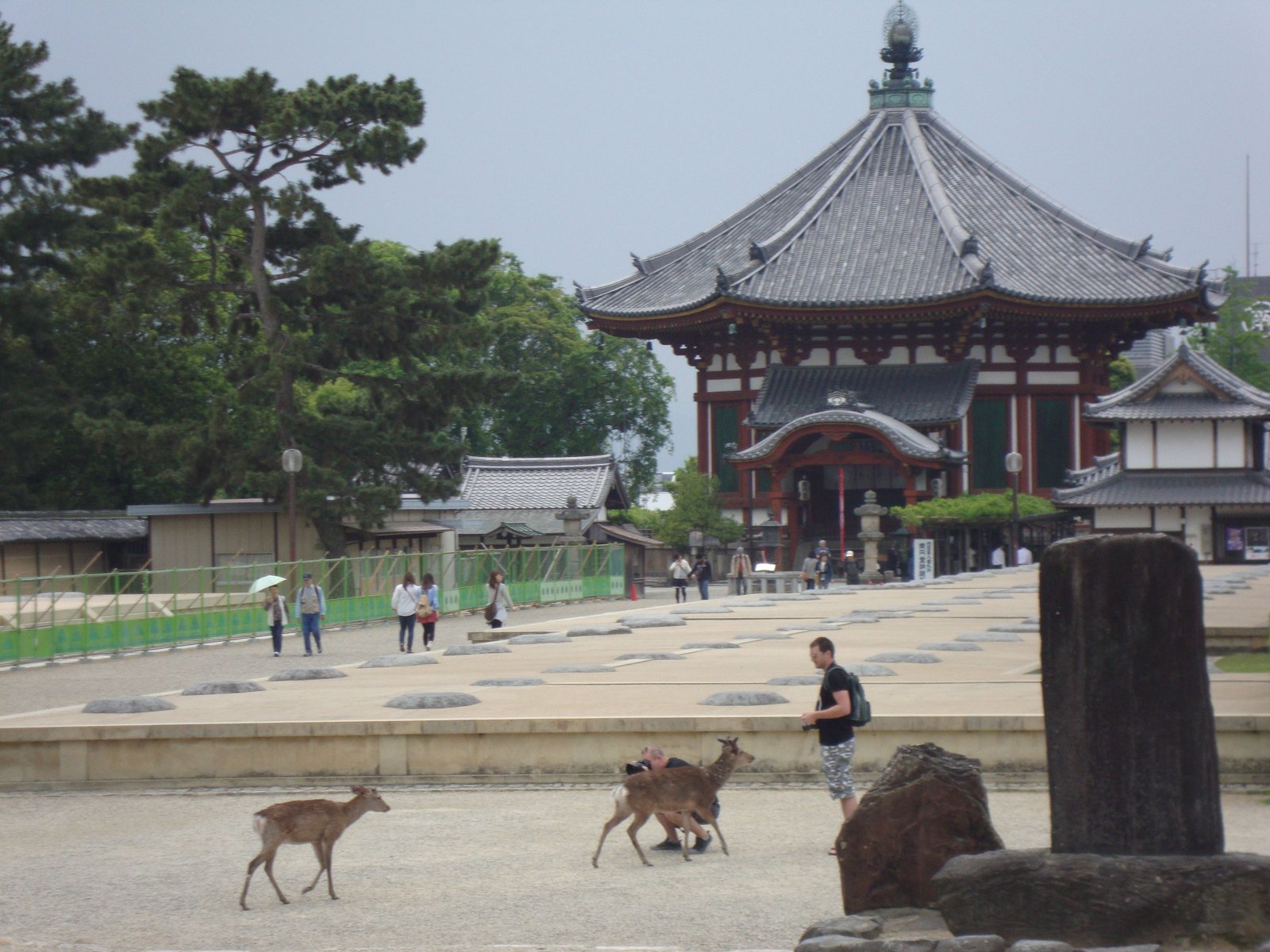 Quelques personnes et des cerfs dans le temple Tōdai-ji, situé à Nara, au Japon, photo gratuite