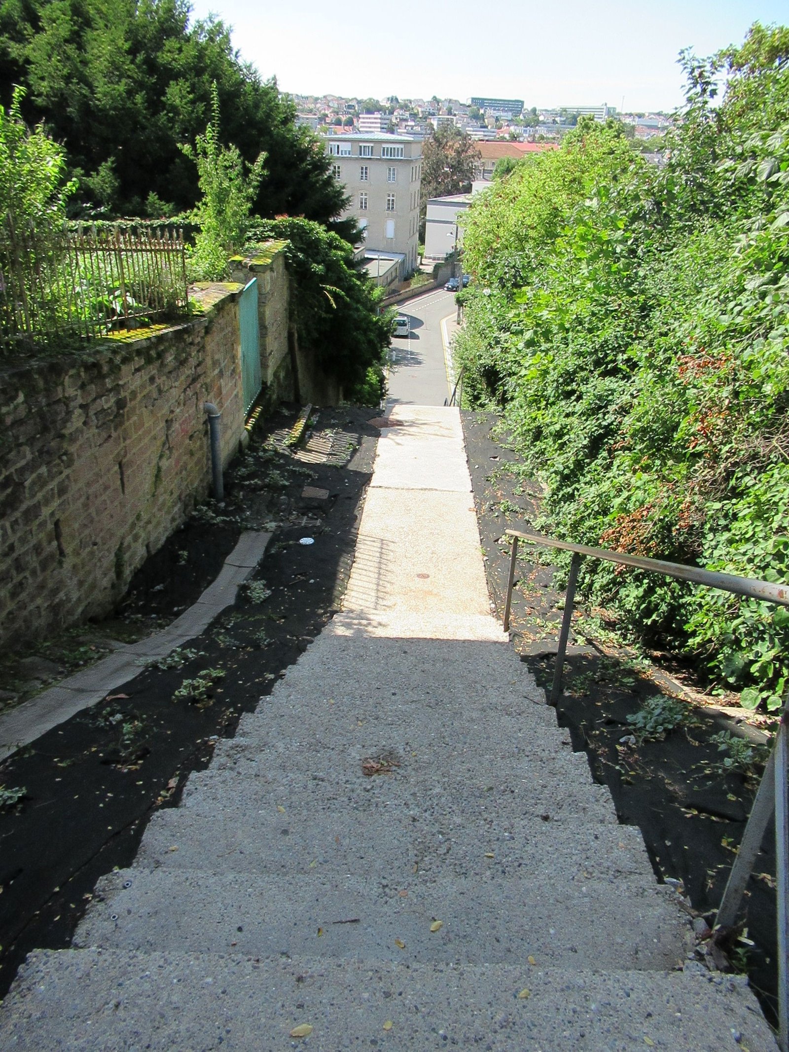 Escalier extérieur en béton, encadré de verdure dense et de murets en pierre photo gratuite
