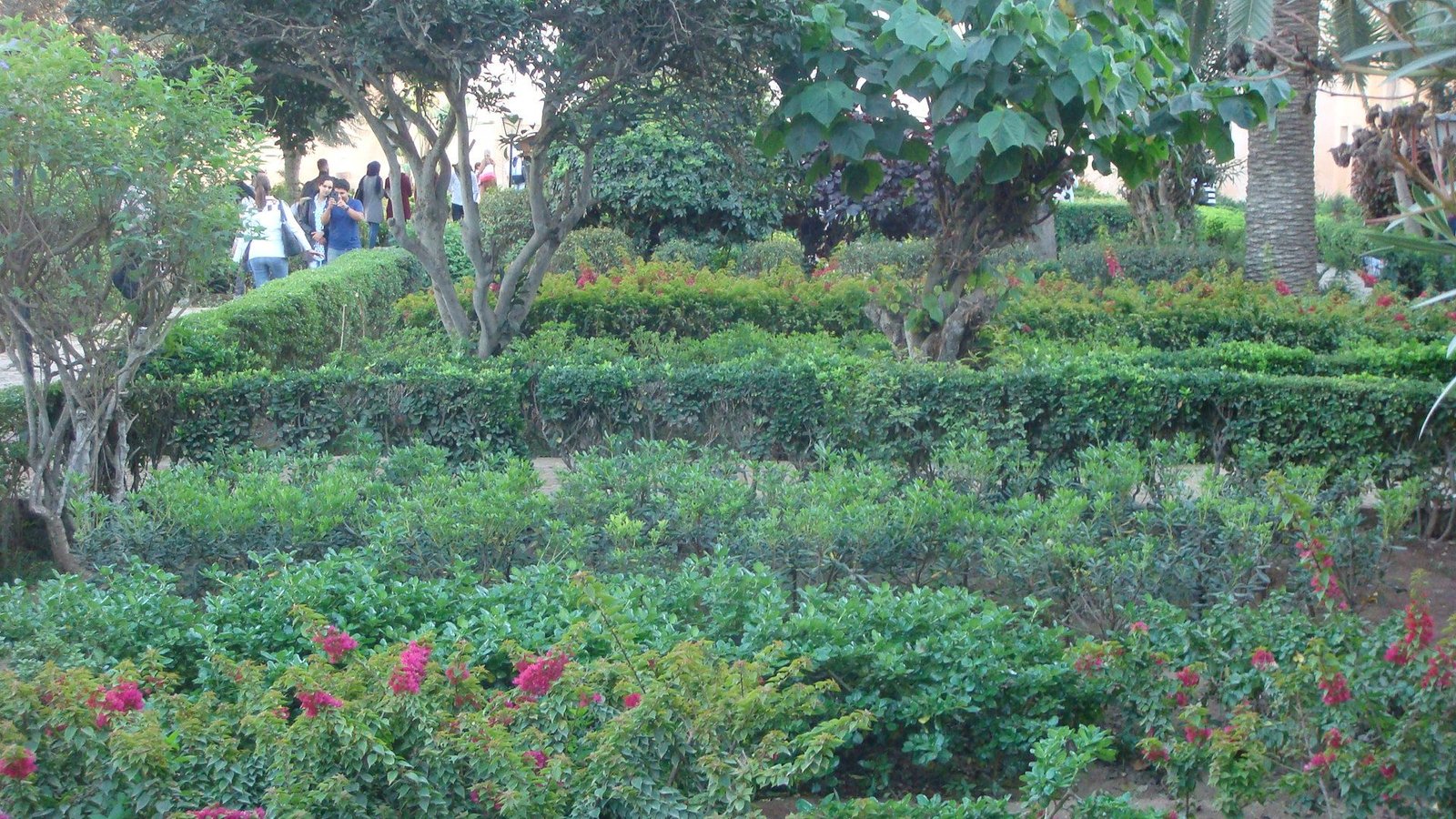 Jardin andalou au cœur de la Kasbah des Oudayas au Maroc photo gratuite