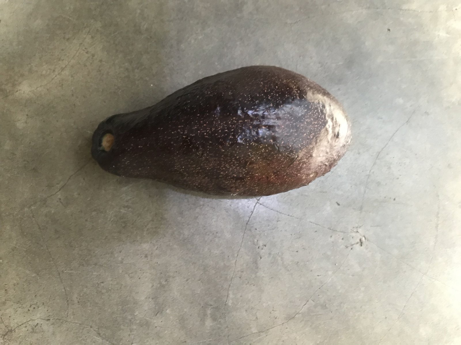 Un avocat mûr posé sur un sol ciment photo gratuite