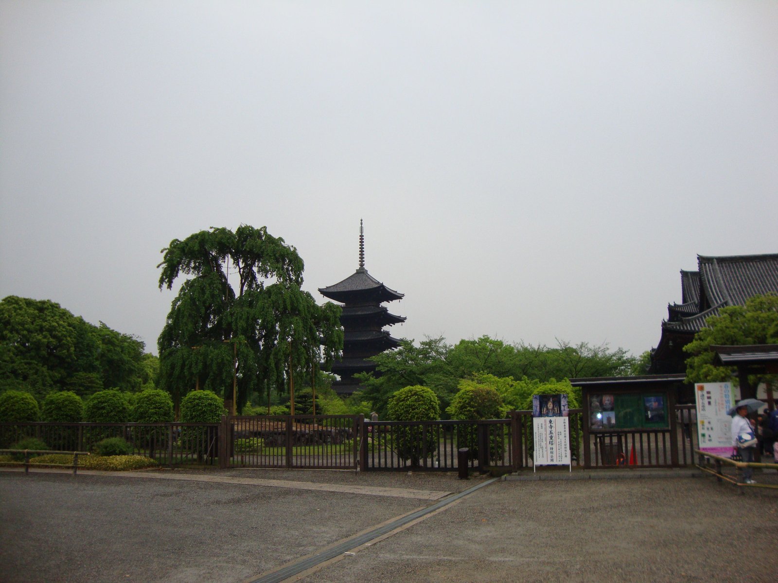 La pagode à cinq étages (Gojunoto), entre les arbres, du temple To-ji à Kyoto, au Japon, photo gratuite