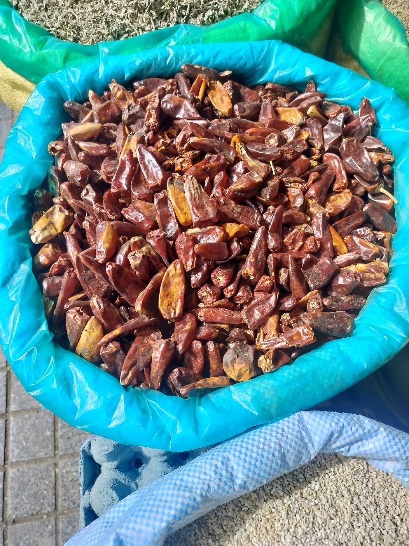Un grand sac de piments rouges séchés, photo gratuite