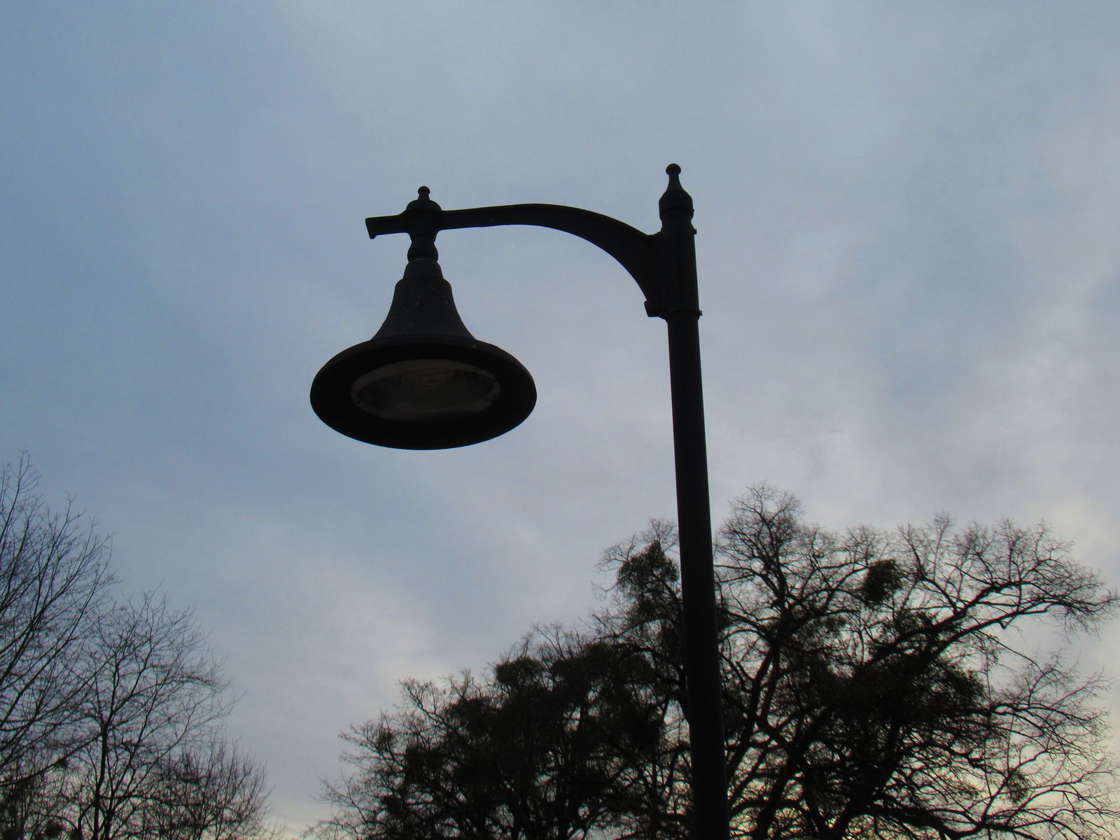 Lampadaire public sous un ciel hivernal photo gratuite