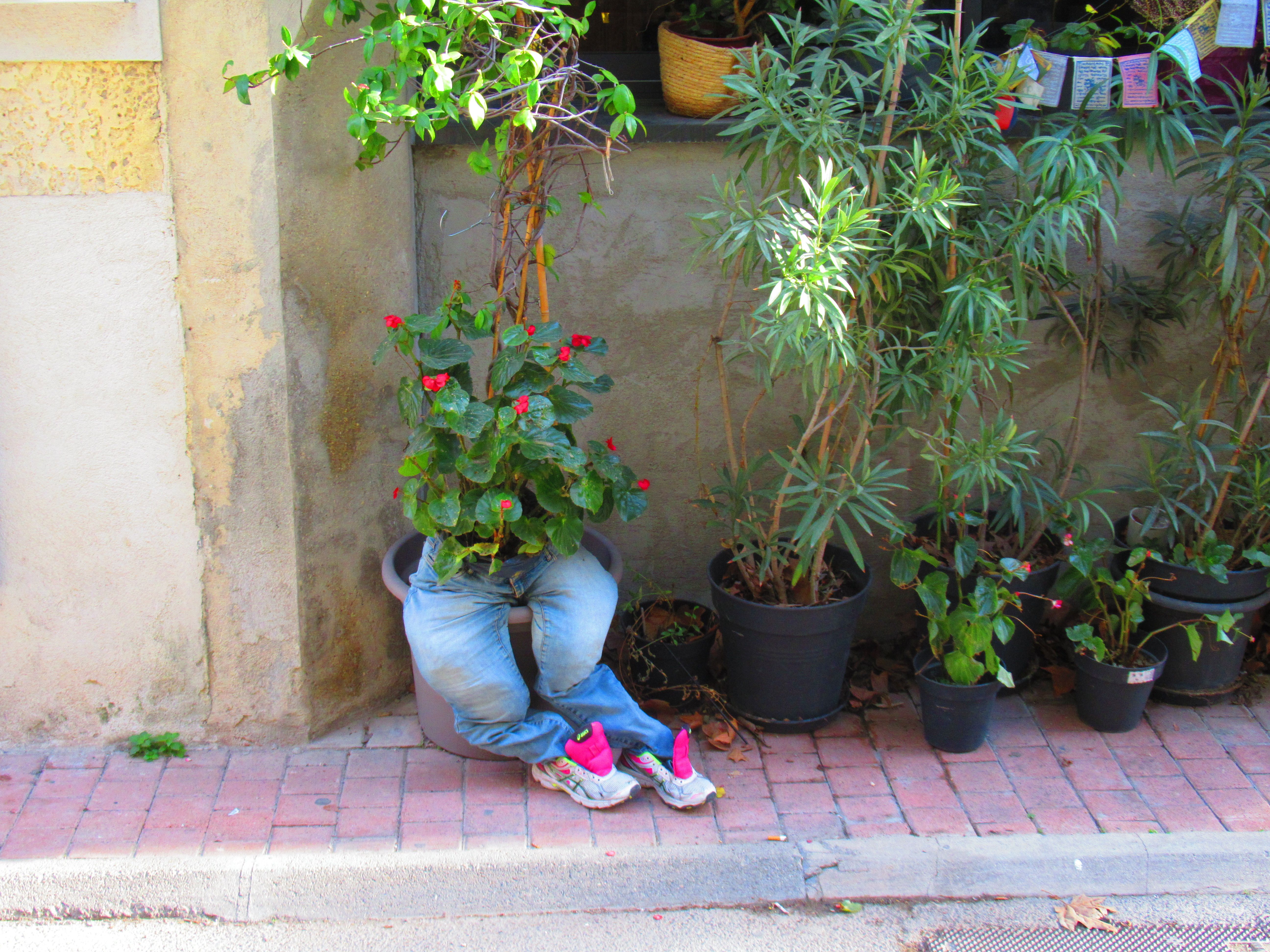 Jeans en fleurs et baskets