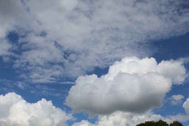 Bouffée de cumulus blancs sur un ciel bleu
