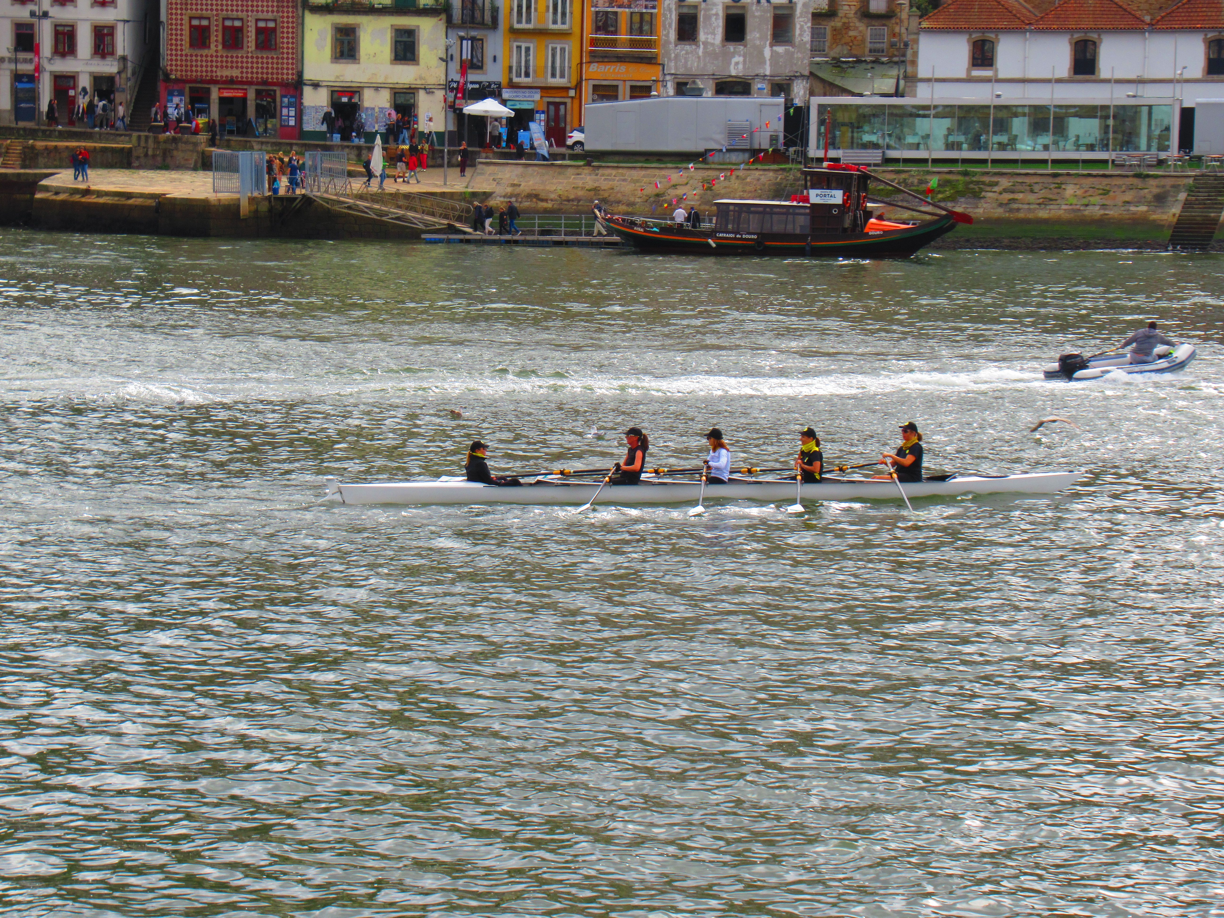 Aviron sur le Douro à Porto
