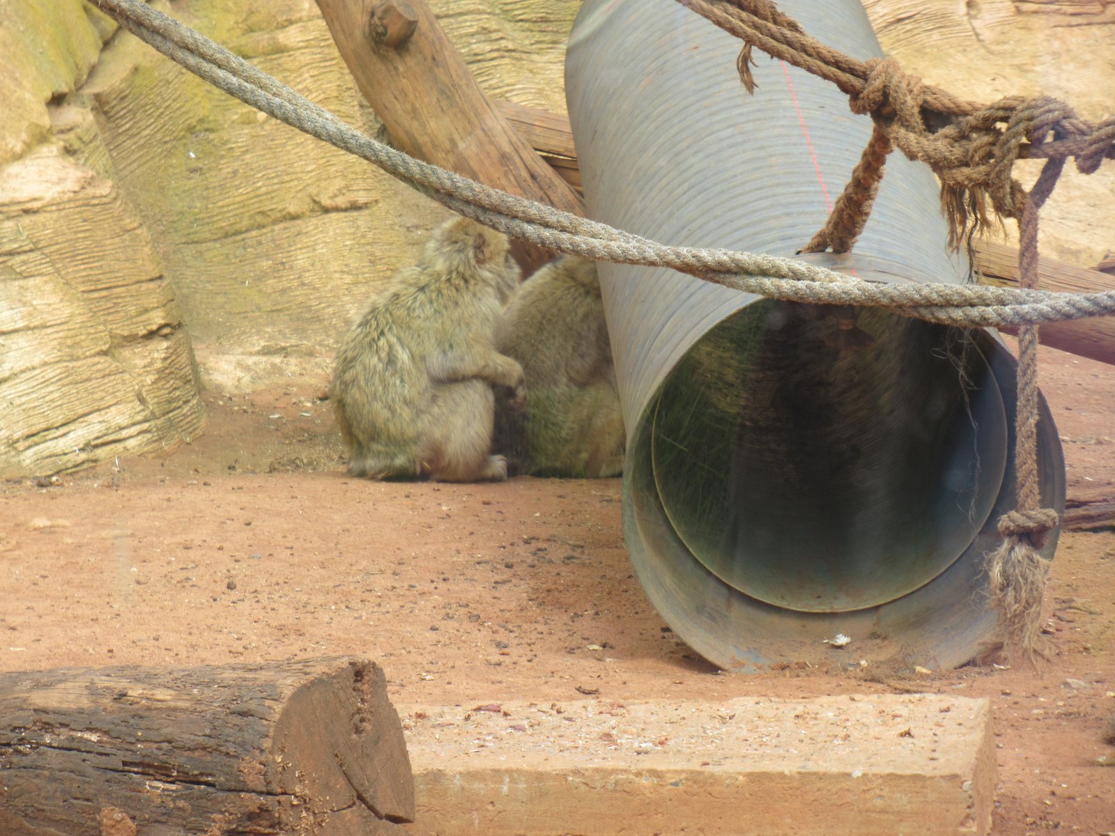 Extrémité d'un tuyau de fonte