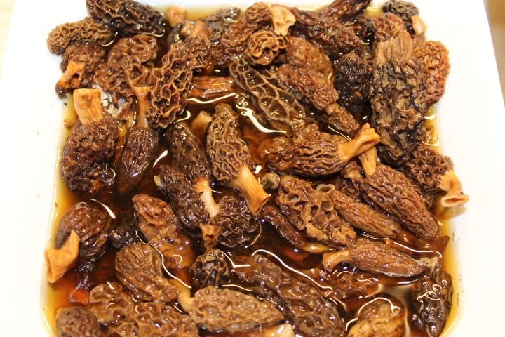 Morilles en préparation photo gratuite