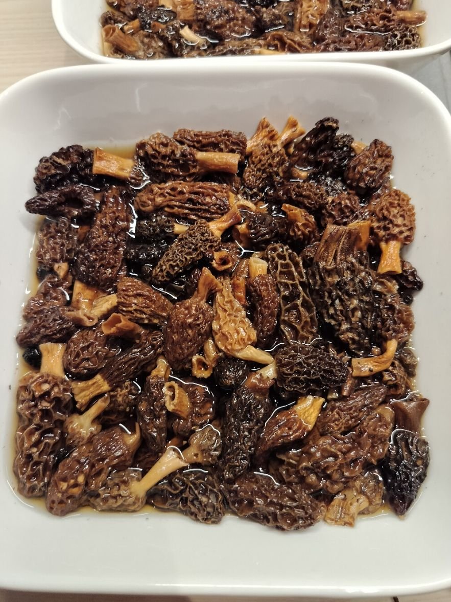 Plat de morilles photo gratuite, champignons