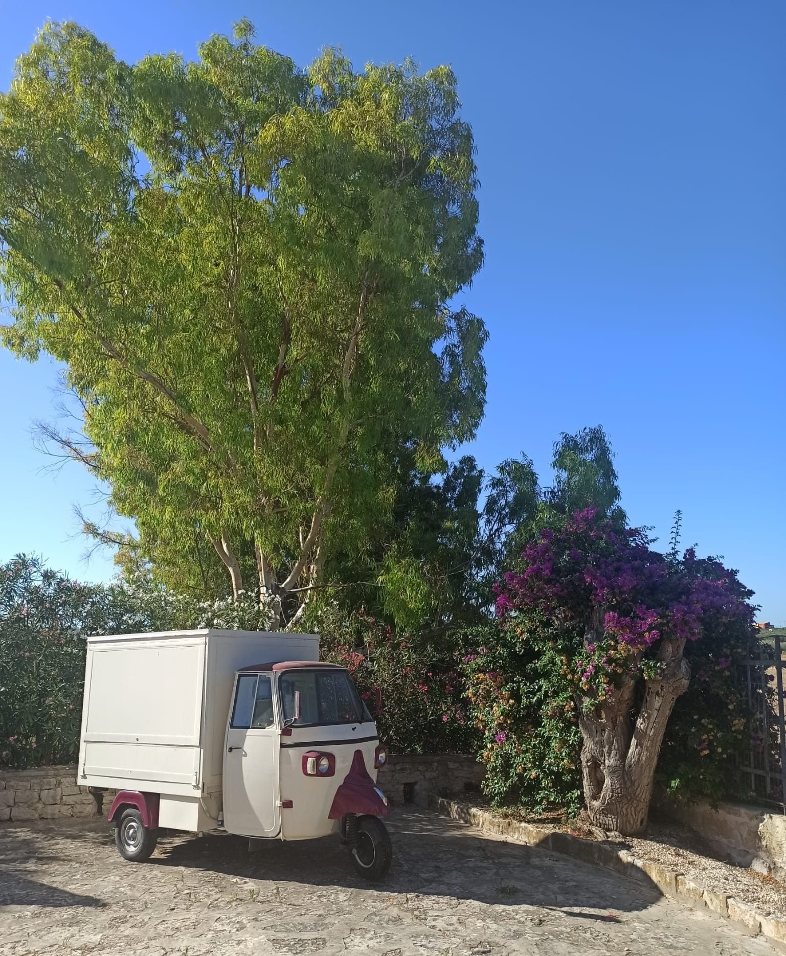 Ape Piaggio dans le jardin à Sicile photo gratuite