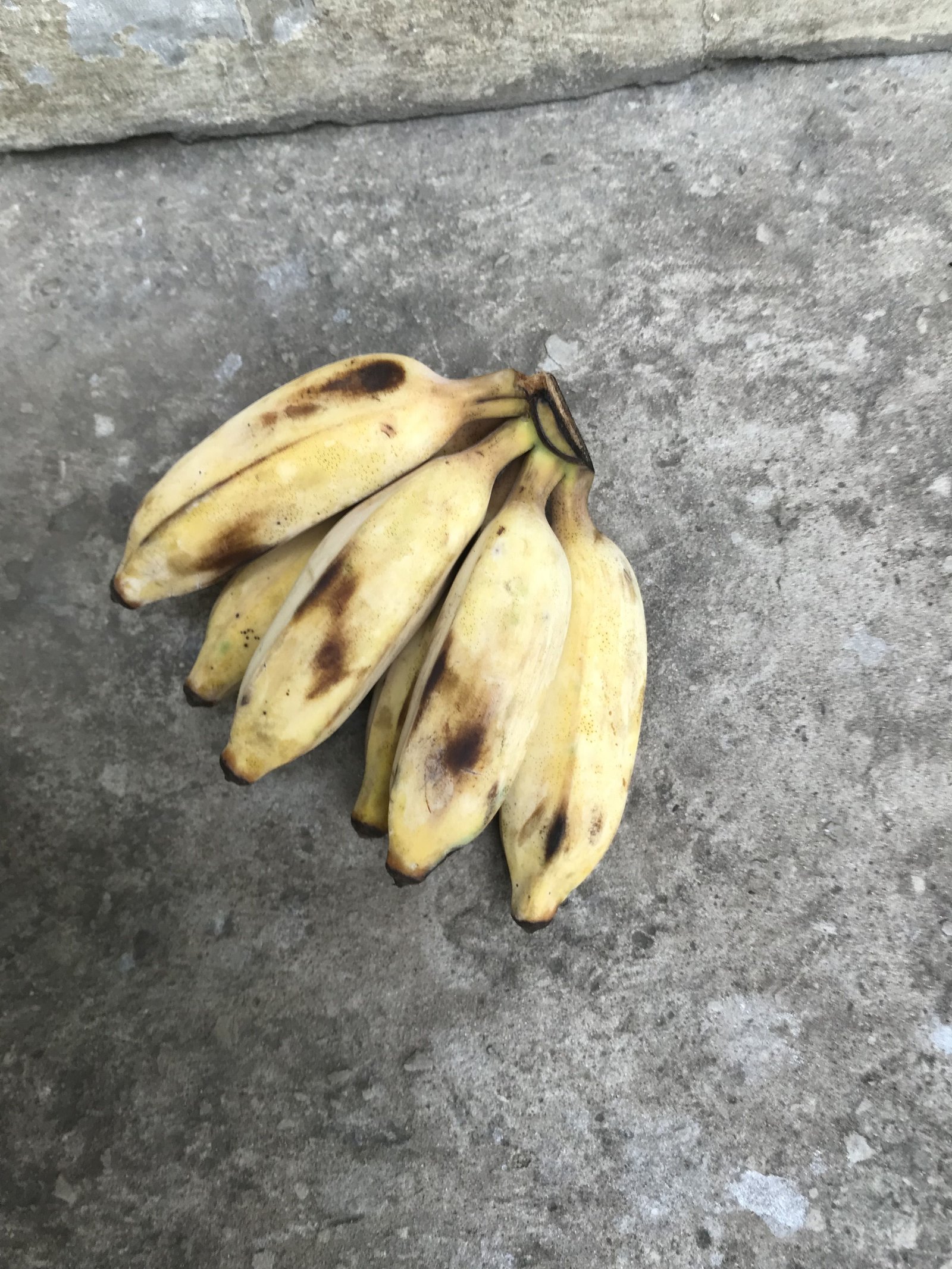 Bananes mûres photo gratuite