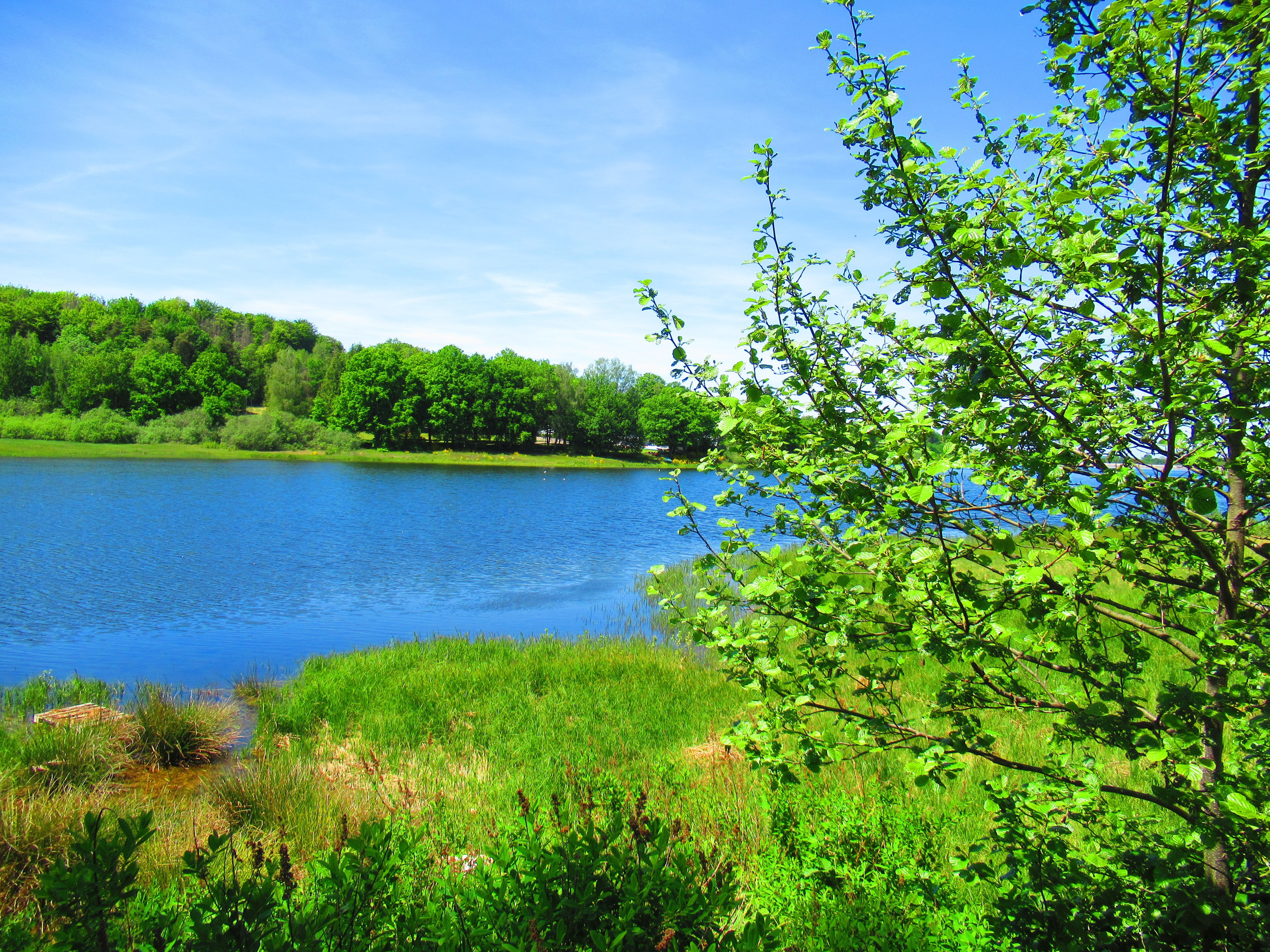 photo gratuite Lac de Bouzey, Vosges, ciel bleu - kostenloses Foto vom Lac de Bouzey, Vogesen, blauer Himmel