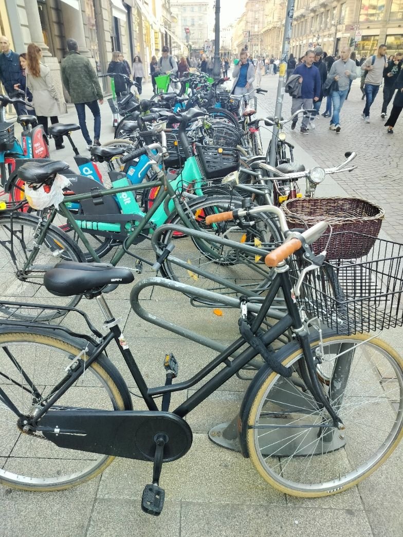 Vélos disposés le long d'une route photo gratuite