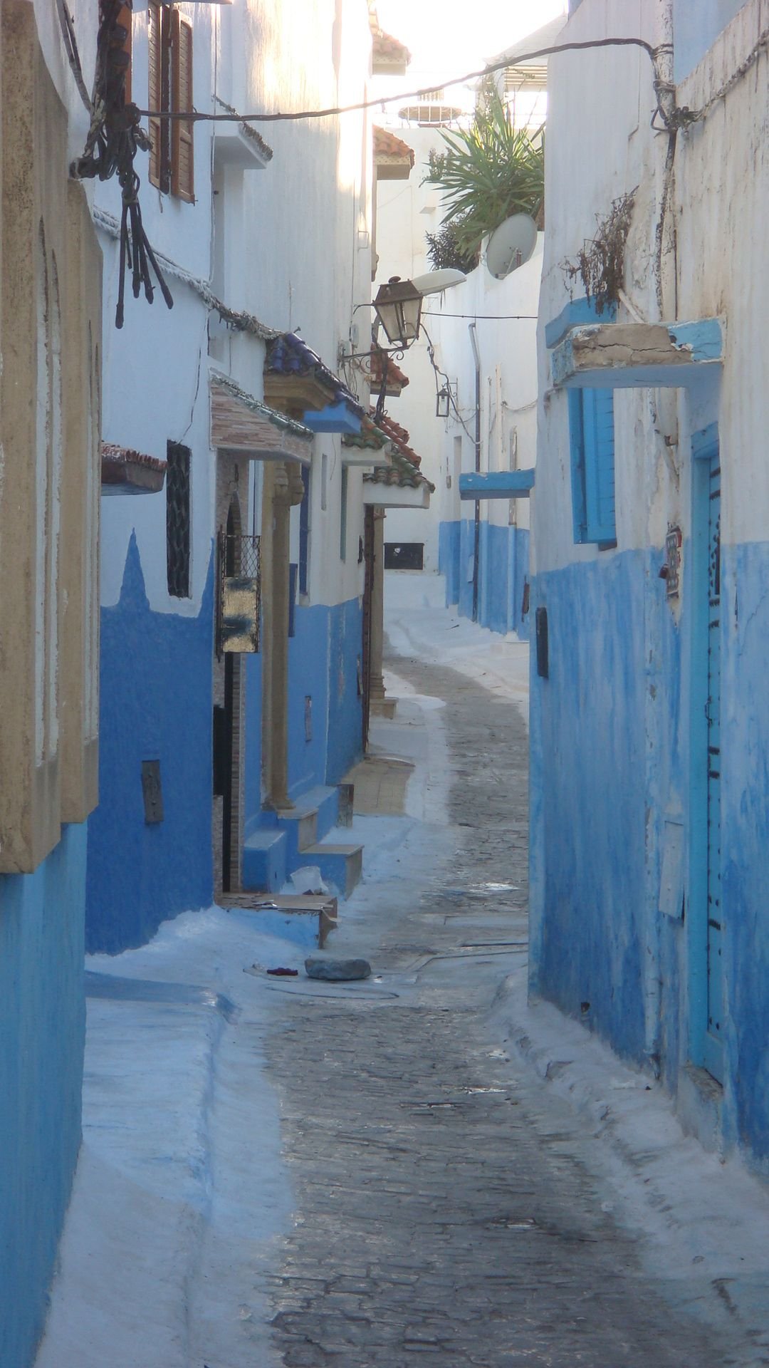 architecture andalouse d'une rue blanche-bleue de la Kasbah des Oudayas photo gratuite