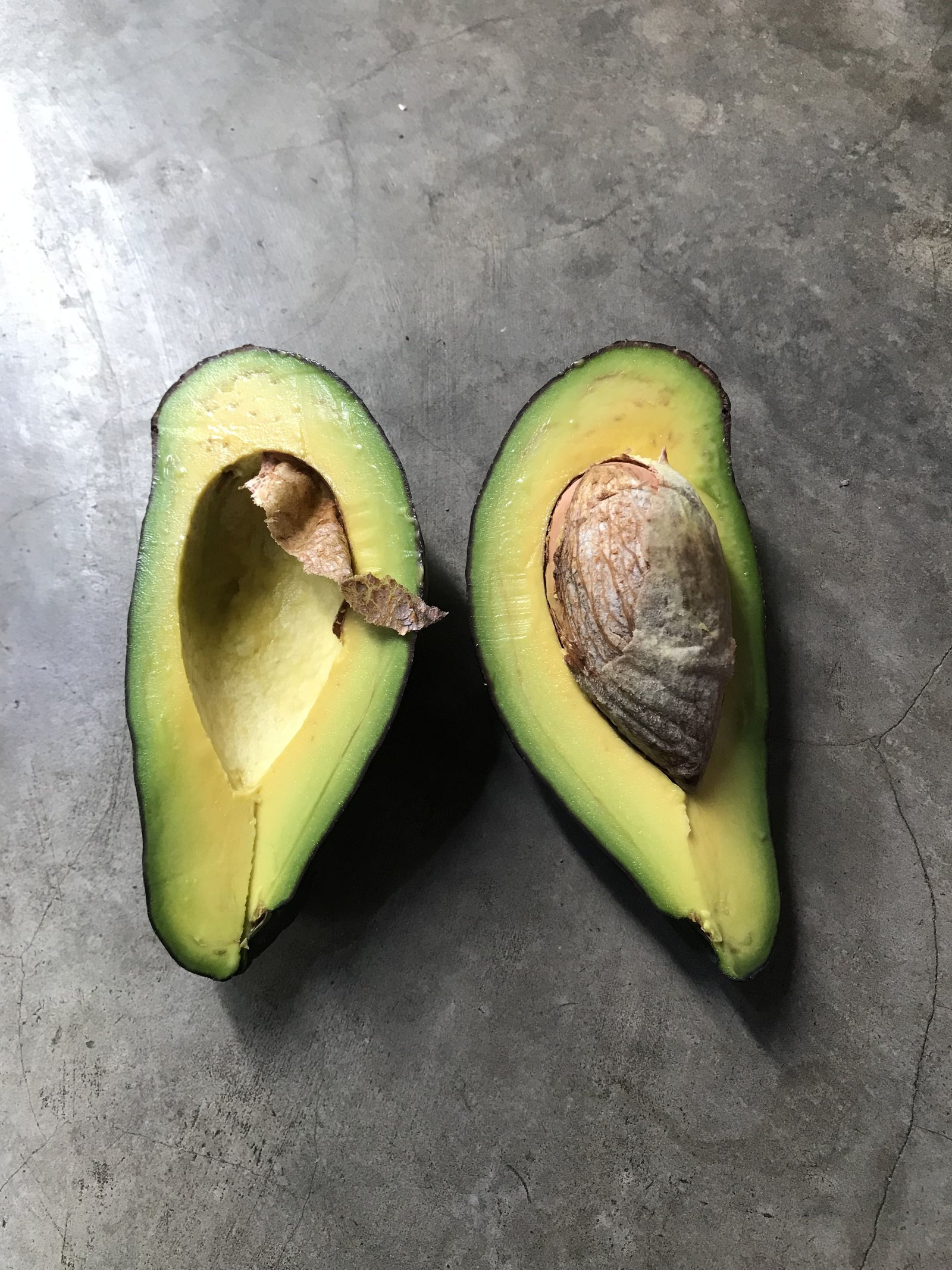 Un avocat en deux part photo gratuite