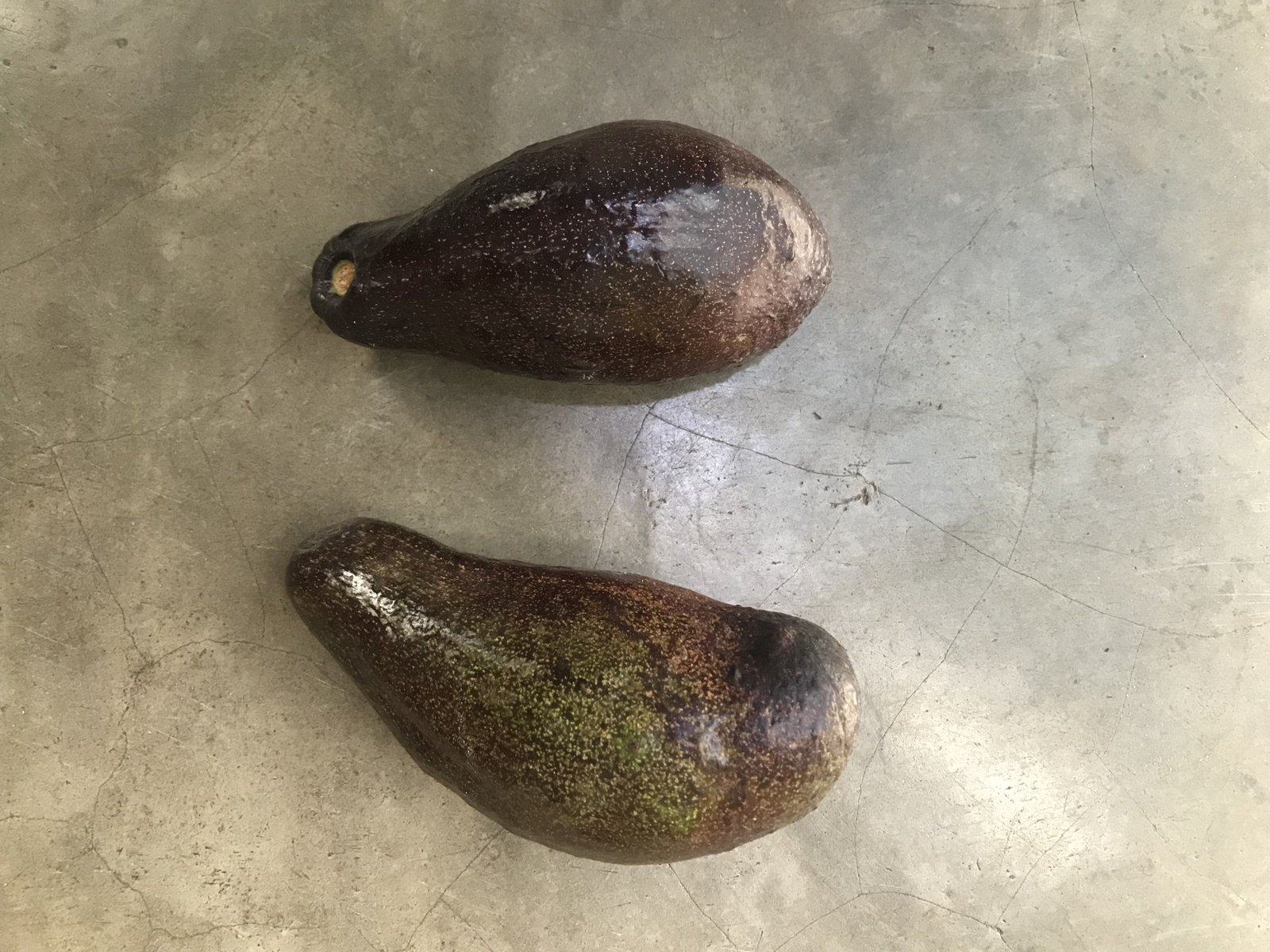 Deux avocats posés au sol photo gratuite