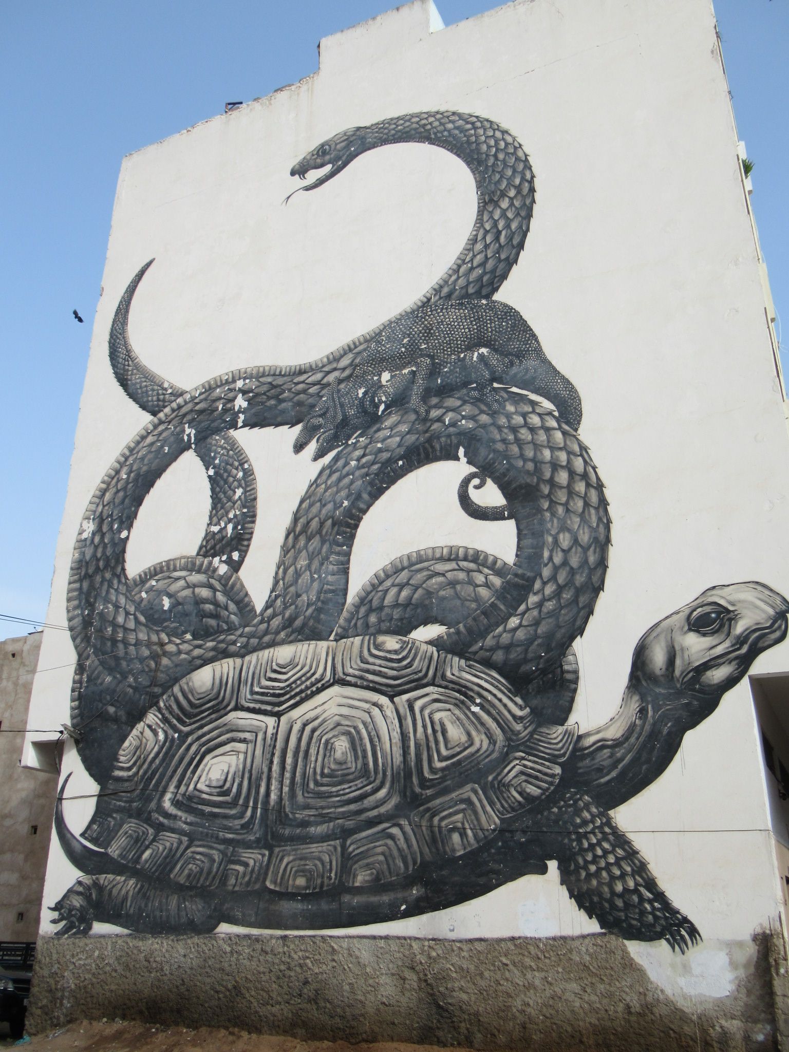 Graffiti géant sur un immeuble à Casablanca - Graffiti gigante num edifício em Casablanca Foto gratuita