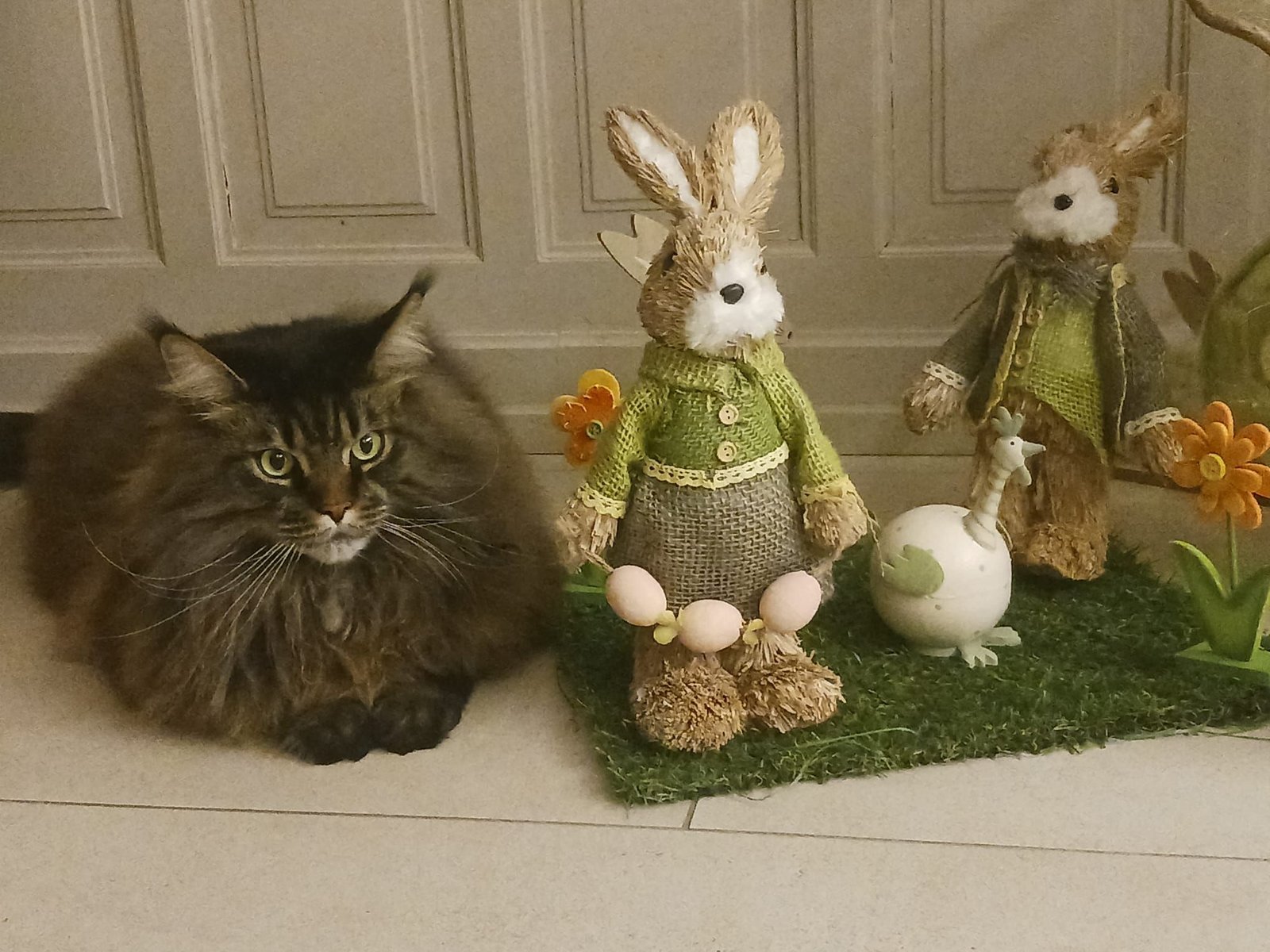 Un chat domestique assis à côté de décorations de Pâques, lapin, figurine, photo gratuite