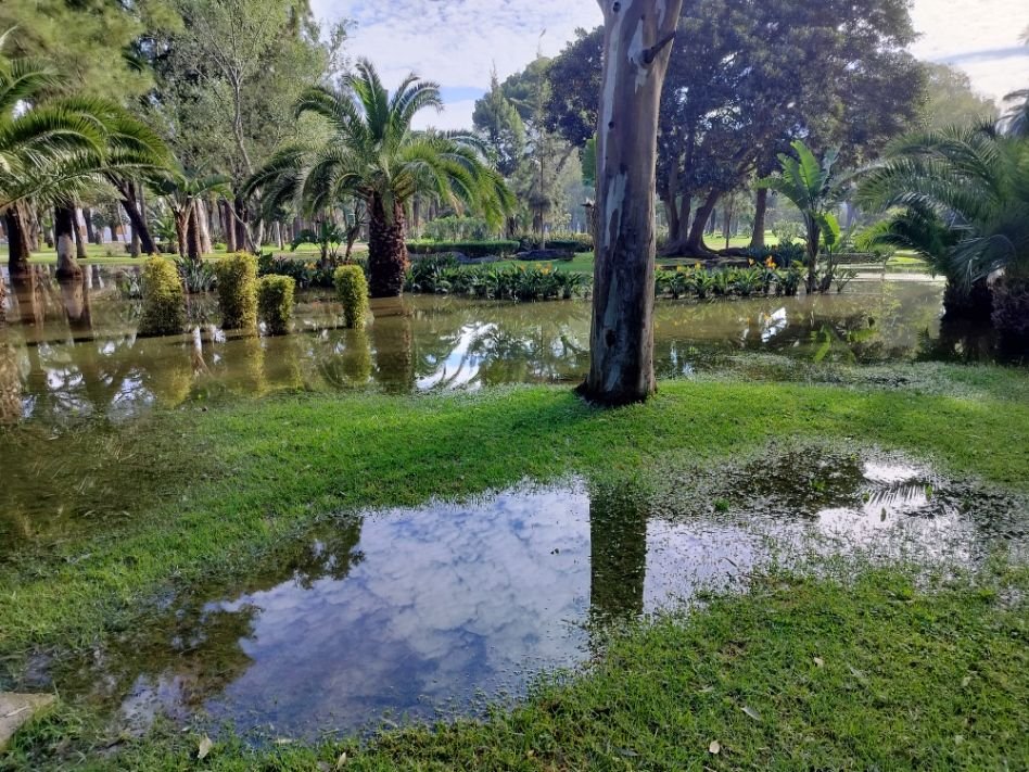 Inondation dans un parc