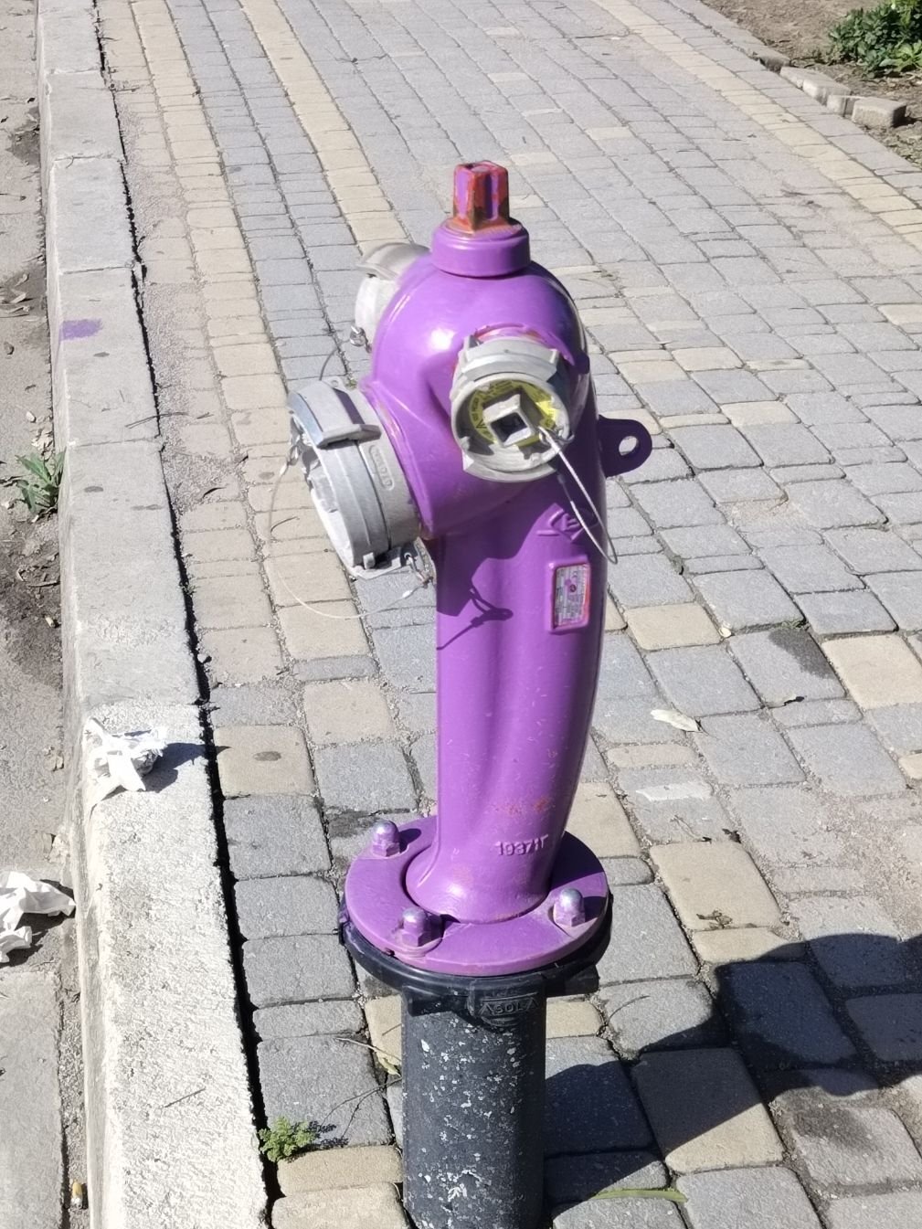 Poteau d'incendie de couleur mauve