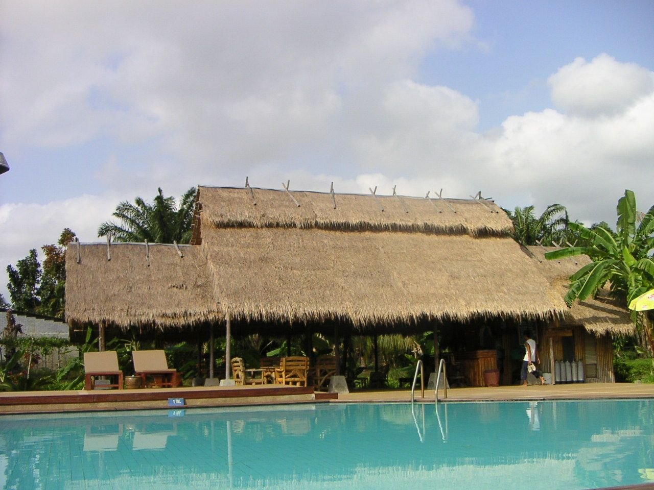Un complexe hôtelier, un établissement de loisirs, grande piscine, bâtiment avec un toit en chaume, entouré de palmiers, photo gratuite