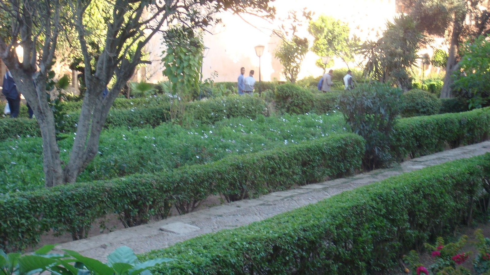 Un jardin verdoyant à la Kasbah des Oudayas à Rabat, Maroc photo gratuite