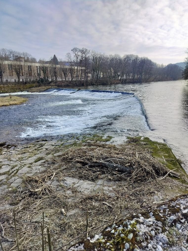 Boule de paille à coté d'une rivière photo gratuite