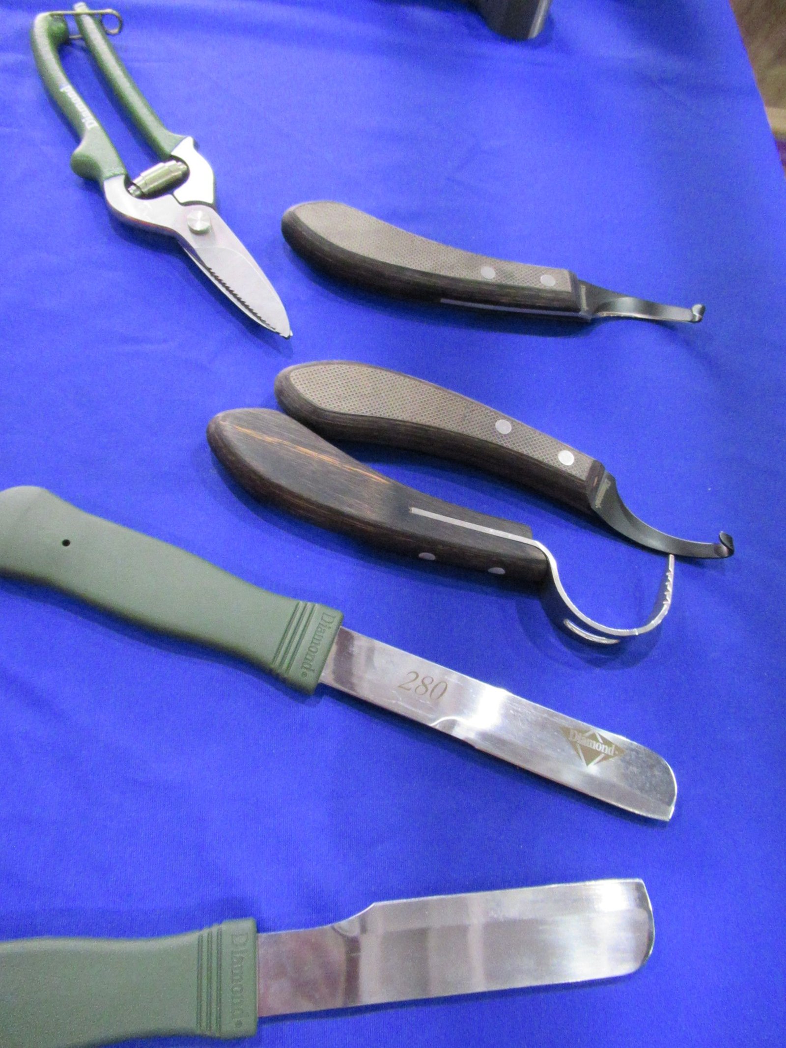 Outils de soins de sabots de chevaux pendant un salon du cheval