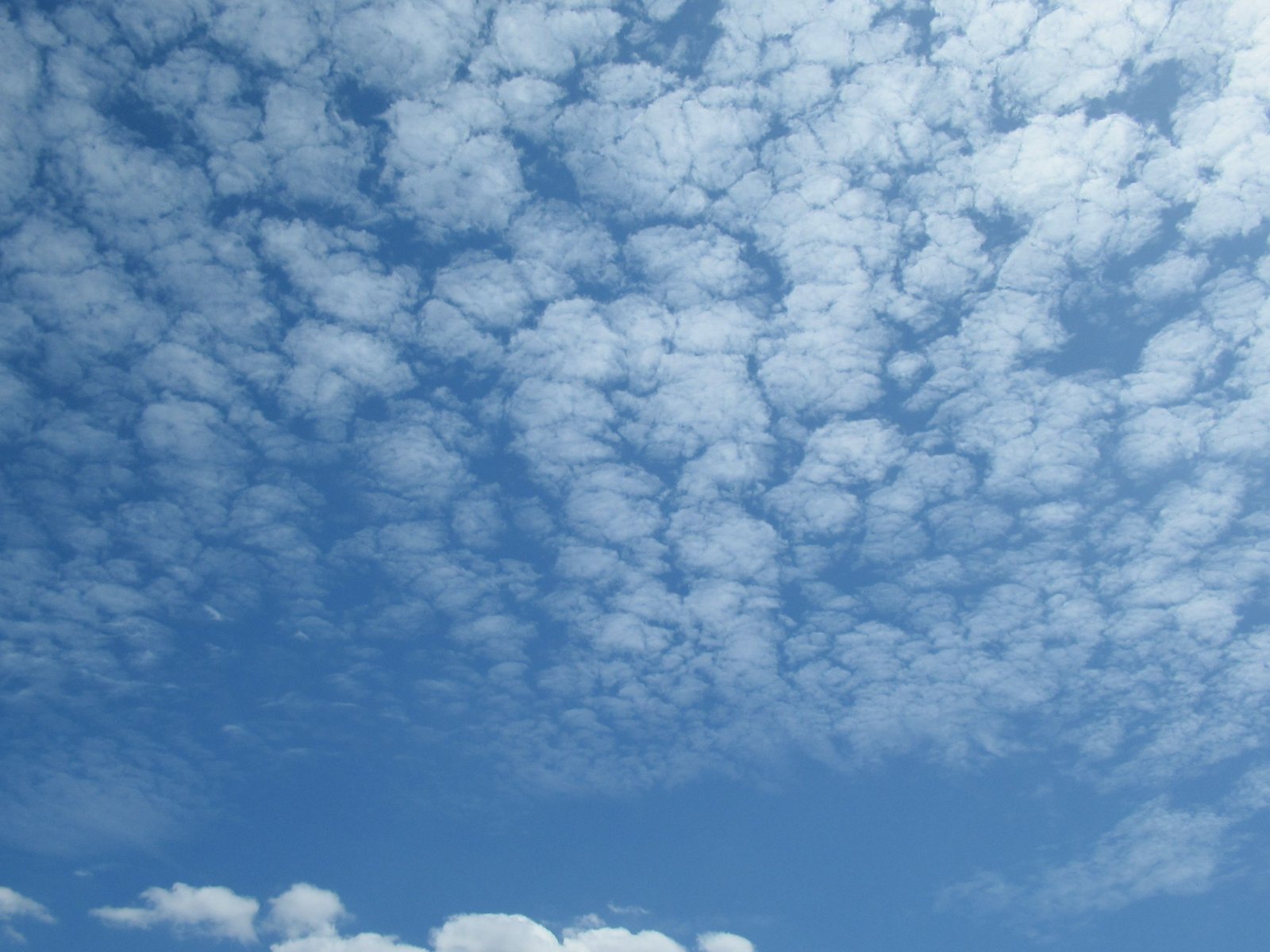 Cumulus de nuages blancs dans le ciel bleu