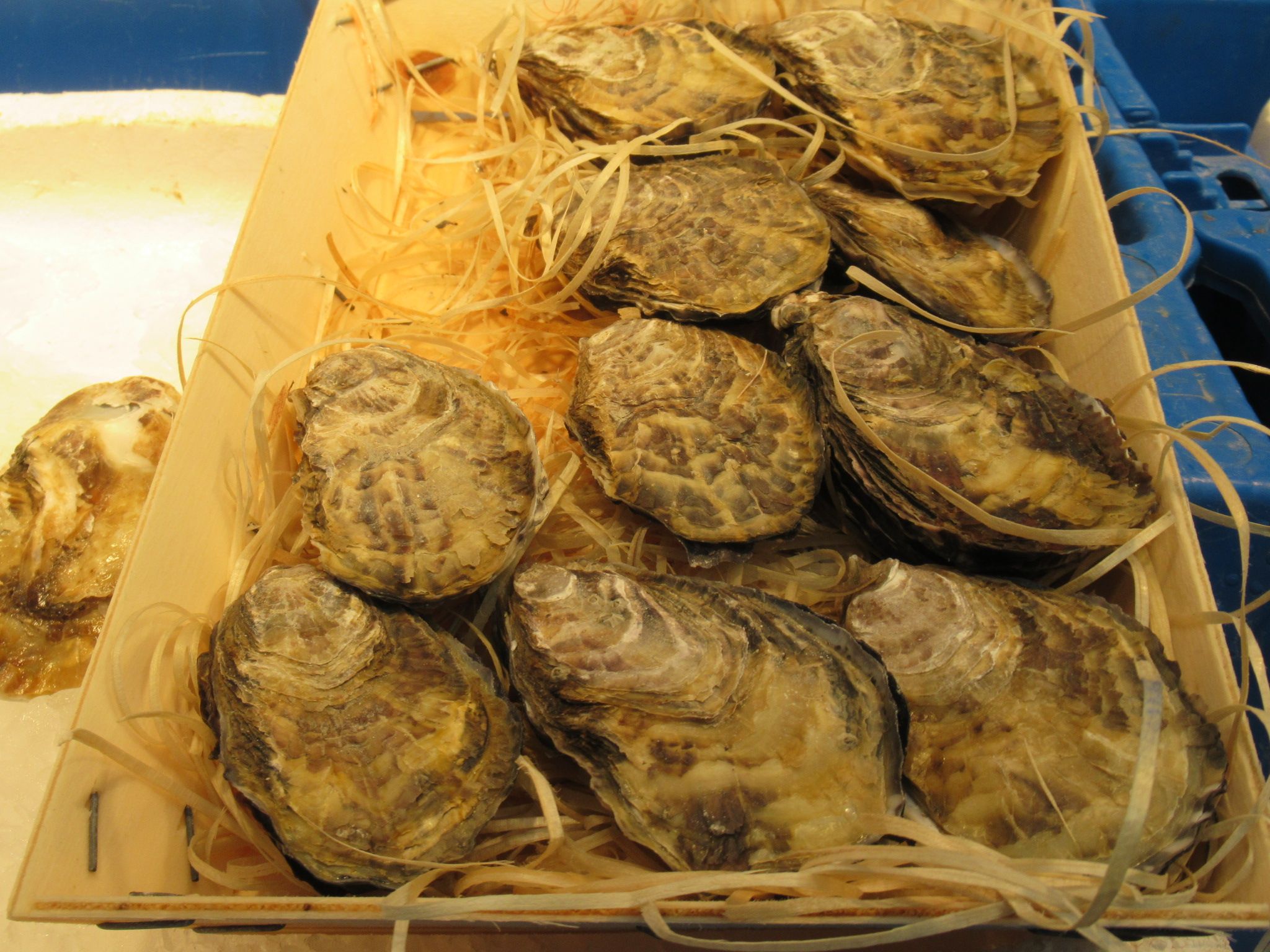 Des huîtres crues présentées dans une bourriche en bois, photo gratuite