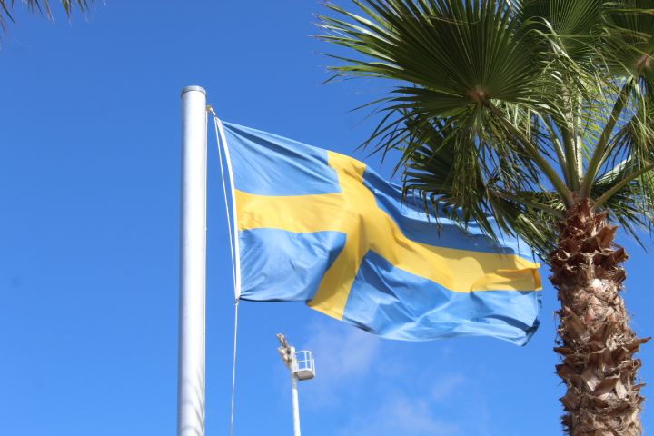 drapeau de la Suède flottant près d'un palmier photo gratuite - Schwedische Flagge weht in der Nähe einer Palme, kostenloses Foto