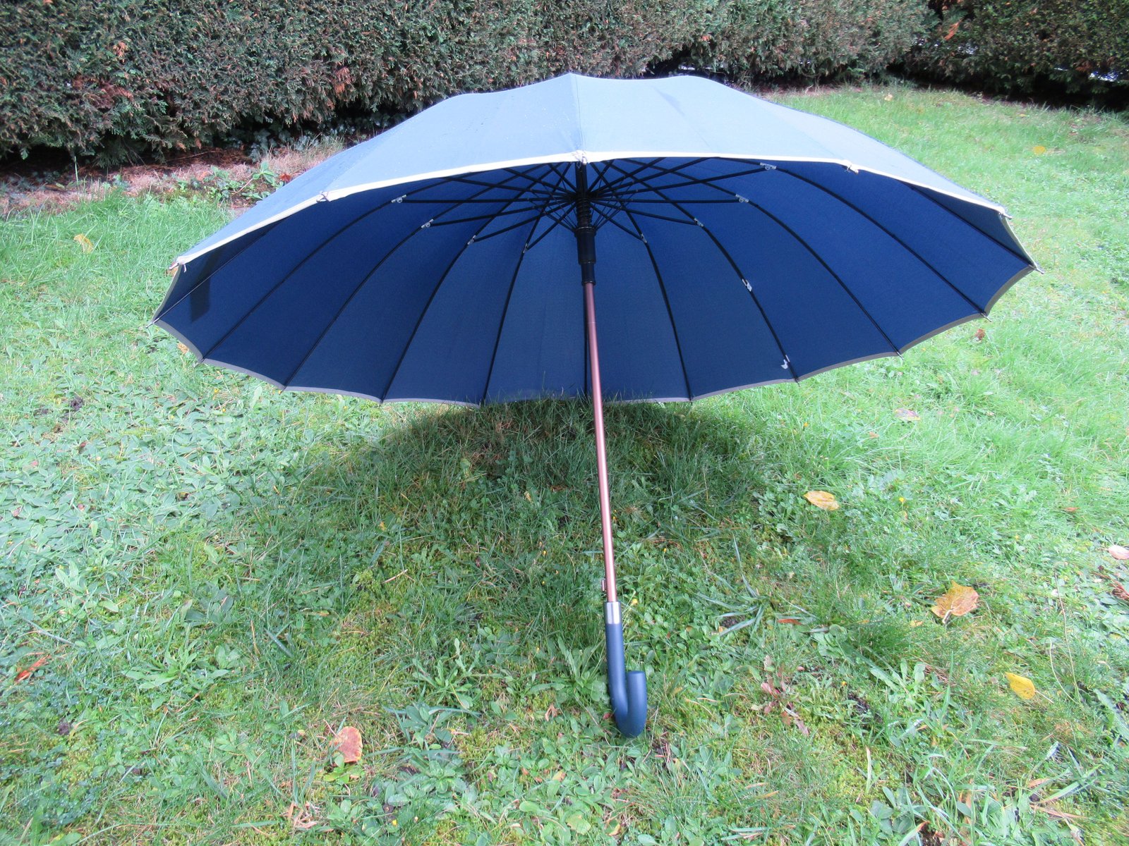 Parapluie bleu ouvert sur une pelouse