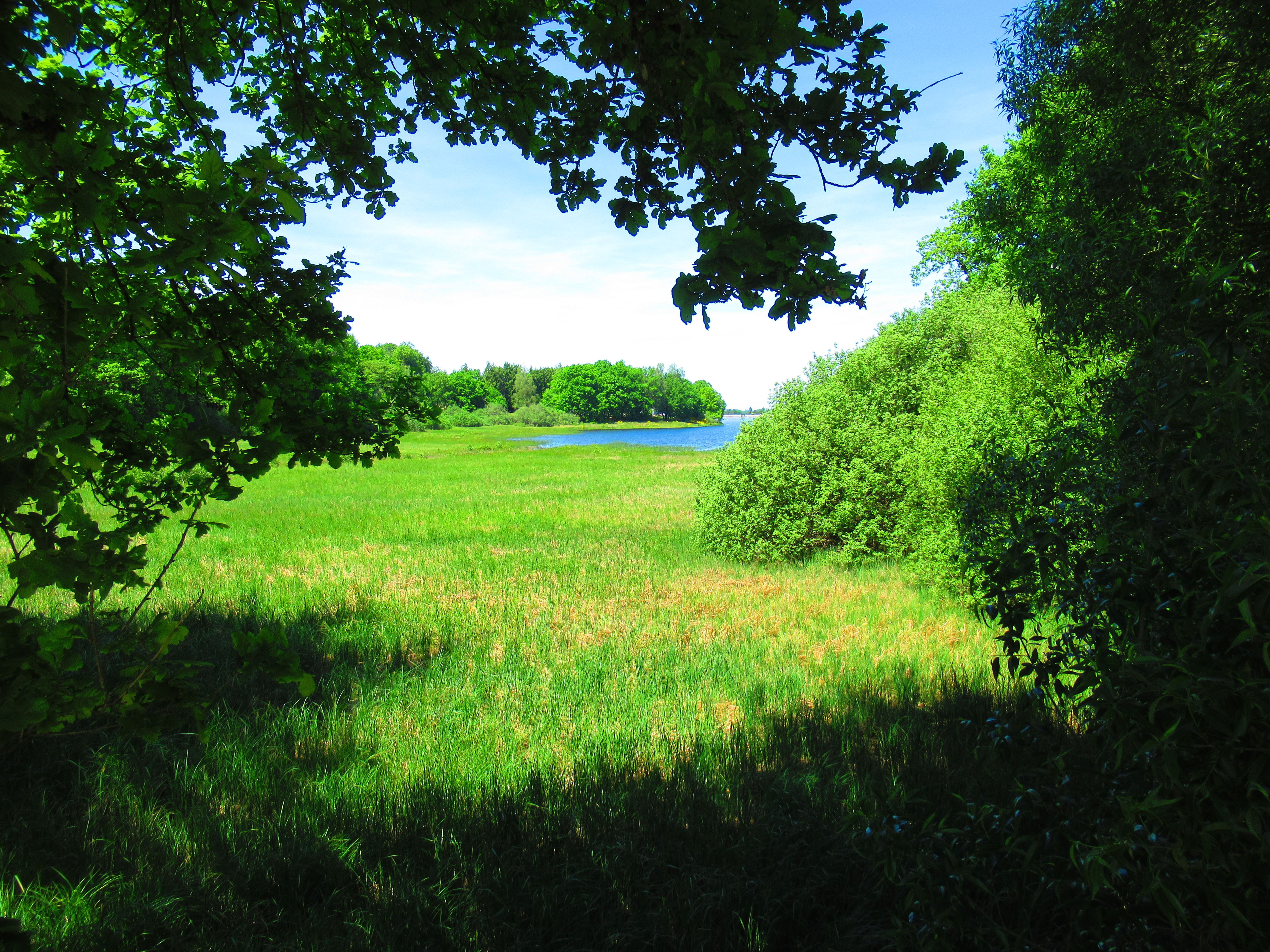 photo gratuite Lac de Bouzey, Vosges, ciel bleu, ombre et lumier - kostenloses Foto vom Lac de Bouzey, Vogesen, blauer Himmel, Schatten und Licht