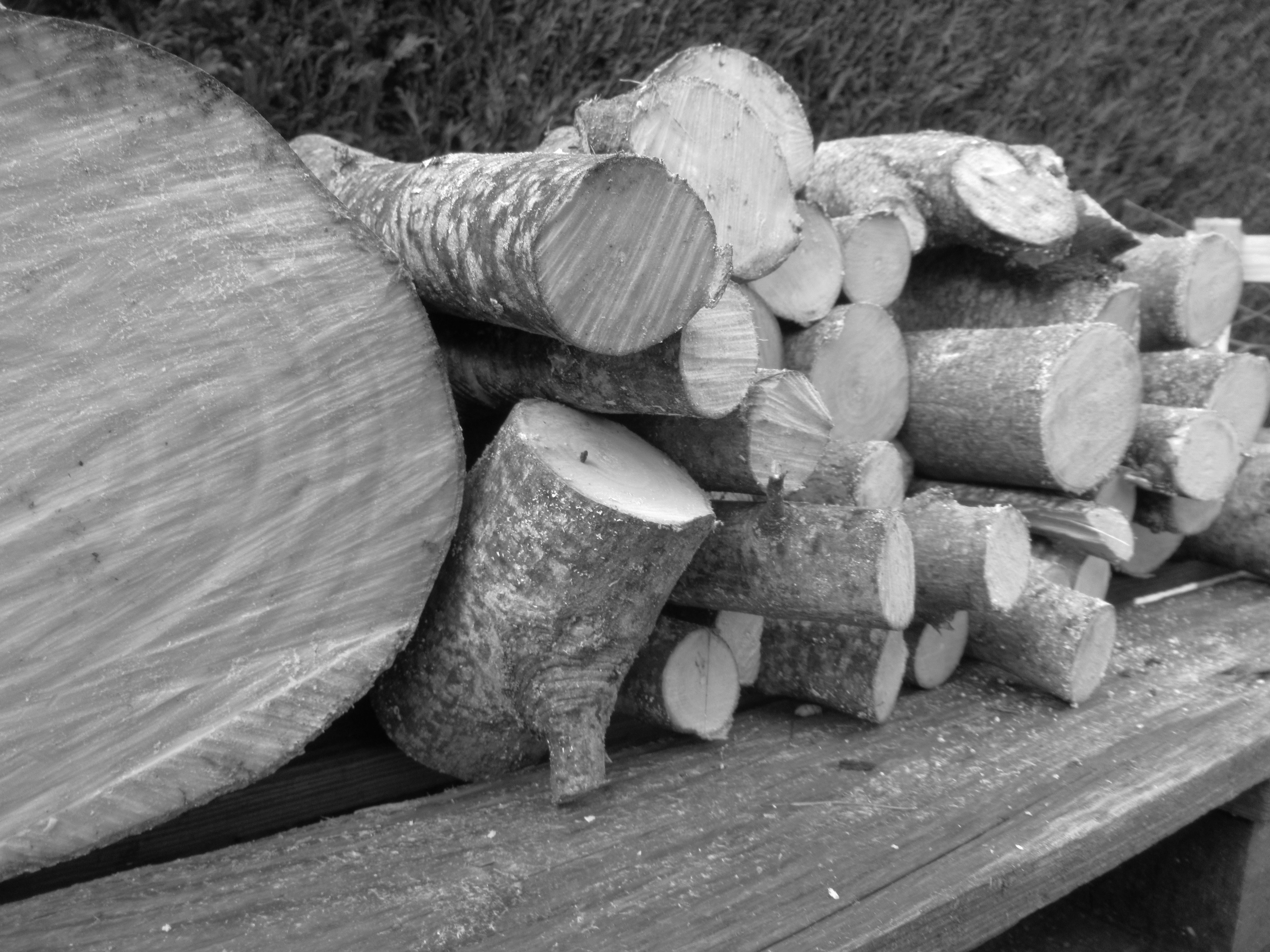 Troncs d'arbre coupés en noir et blanc, buches