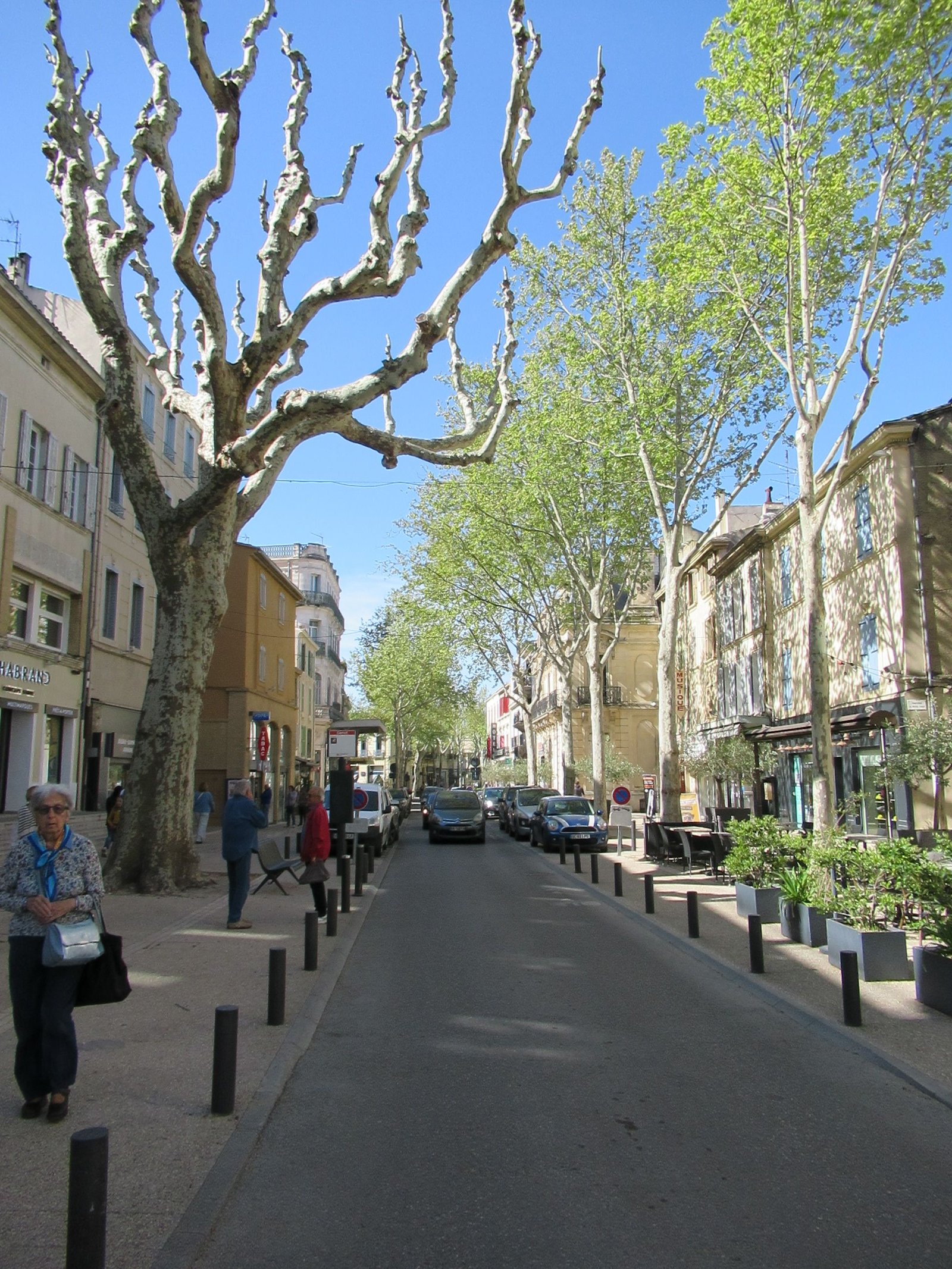Avenue à Salon de Provence