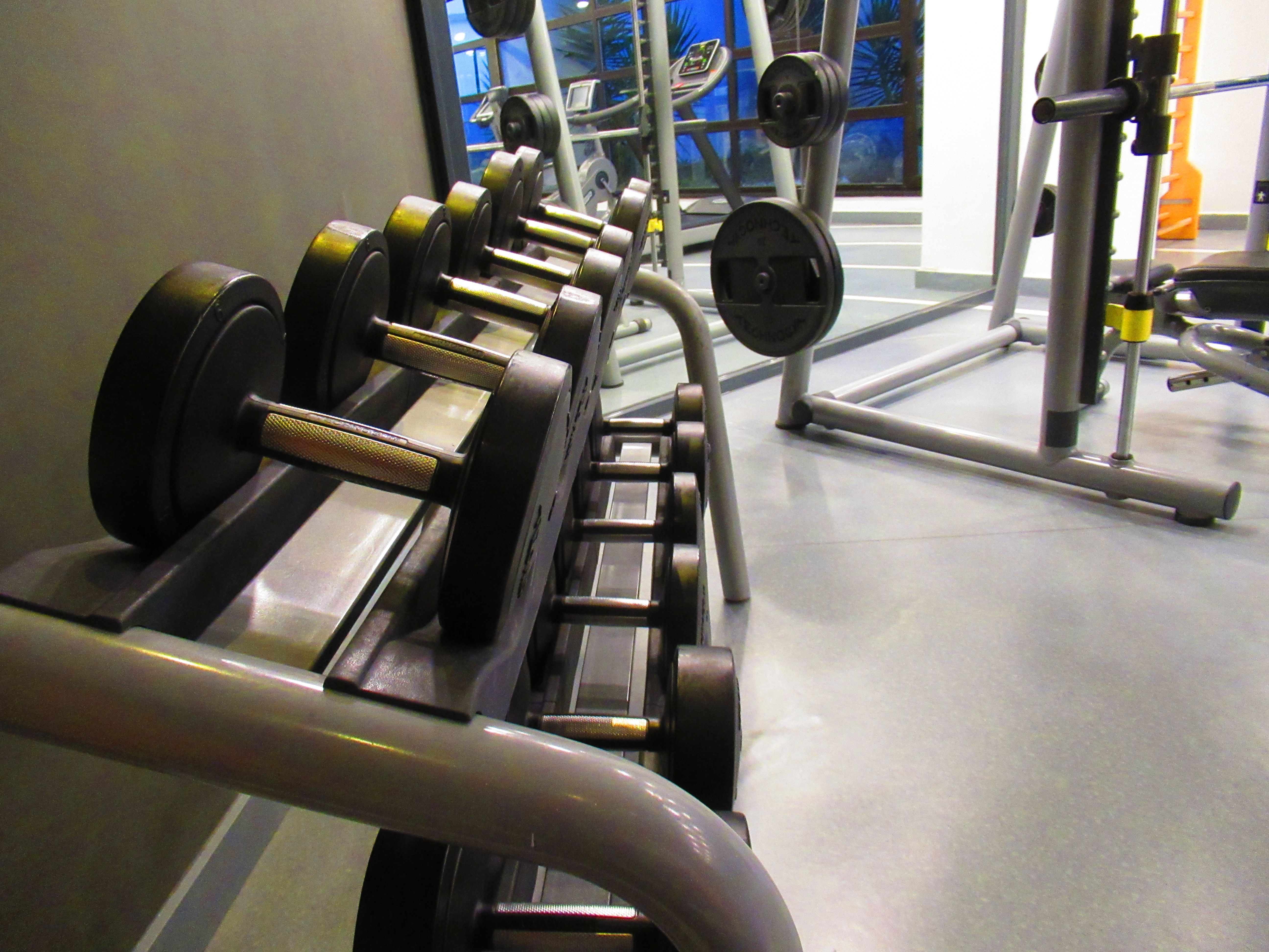 Photo d'altères pour sport et musculation, sport santé