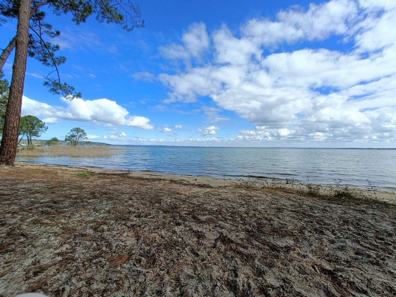 Un grand étang, vue depuis une rive sablonneuse, photo gratuite