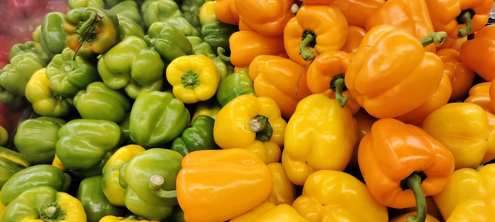 poivrons des différentes couleurs photo gratuite