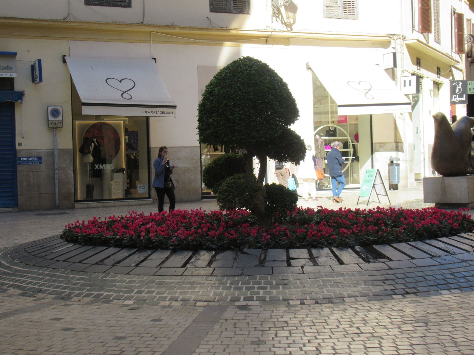 Une rue commerçante, un parterre de fleurs entourant un arbre au centre de la ruelle à Malaga en Andalousie, photo gratuite
