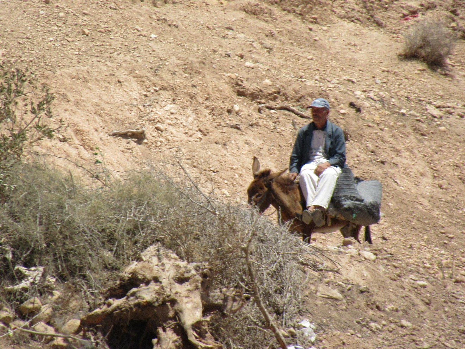 Homme sur un âne dans les montagnes du Maroc
