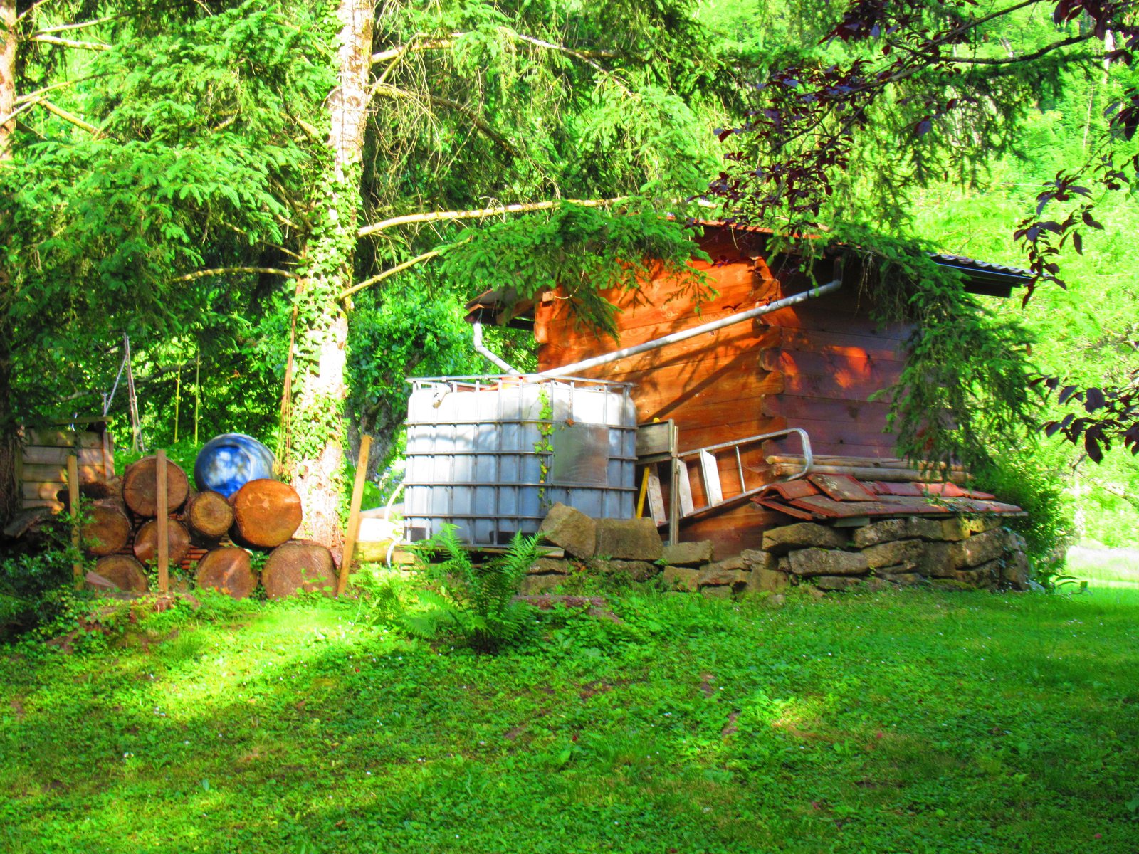 Une cabane en bois rustique, nichée dans une forêt verdoyante dans la commune de Saint Lothain à Jura, photo gratuite