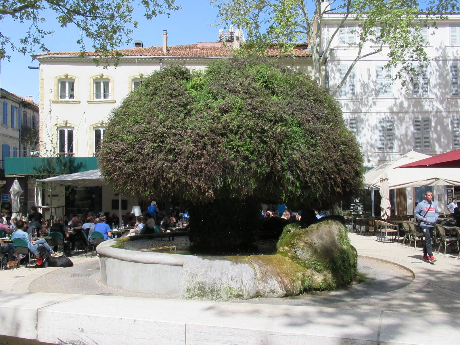Personnes assises autour de la fontaine Moussue à Salon de Provence