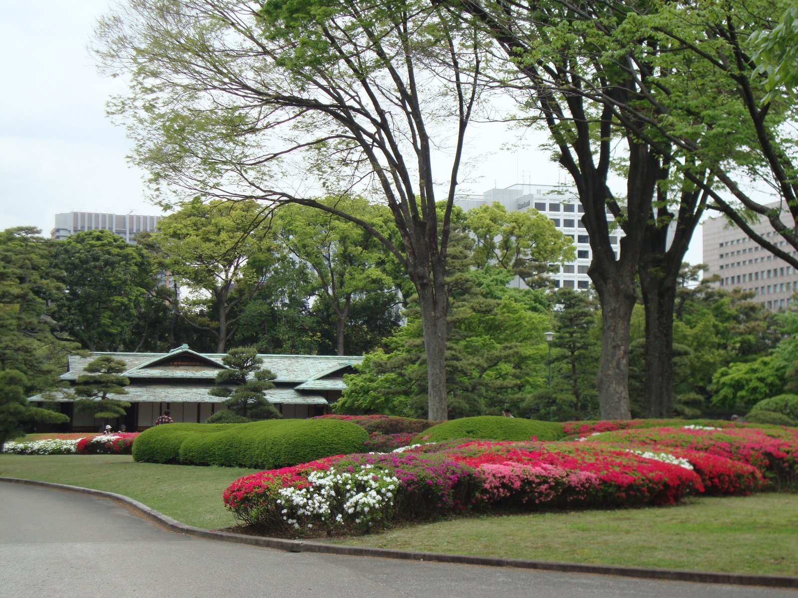 Le jardin pittoresque du château d'Edo, variété de plantes et de fleurs, Japon, Asie, photo gratuite